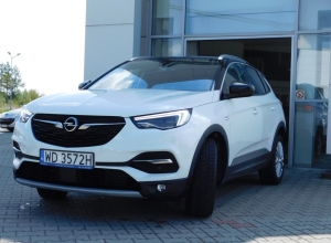 o Opel GRANDLAND X 1.6 CDTI Elite S&S aut