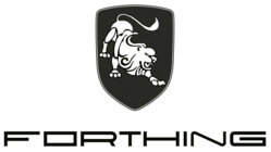 logo Forthing
